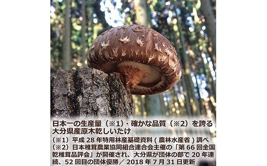 大分産椎茸こうしん 360g（60g×6袋） 大分 椎茸 乾燥しいたけ