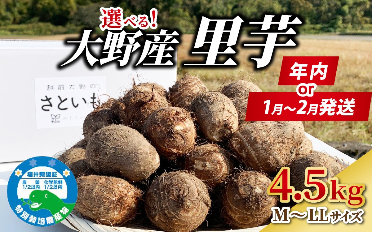 
                  【先行予約】【選べる発送時期】越前大野産 里芋 4.5kg | 特別栽培 化学肥料5割以上カット・農薬7割カット 農家直送 さといも M～LLサイズ 年内発送 11月～12月 1月～2月発送 2026年産 令和8年産
                
