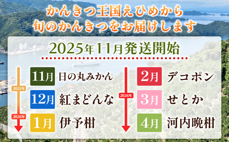 【先行予約】＜2026年11月発送開始 えひめかんきつ定期便 全6回＞ 果物 フルーツ みかん ミカン 蜜柑 日の丸みかん 紅まどんな 伊予柑 いよかん デコポン せとか 河内晩柑 かわちばんかん 愛