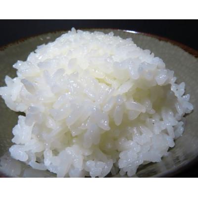 ふるさと納税 佐渡市 【毎月定期便】佐渡産こしひかり 5kg(精米)全12回 |  | 02