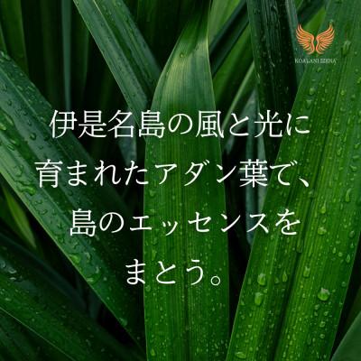 ふるさと納税 伊是名村 伊是名島産アダン葉のバングル「島結」Mサイズ|KOALANI IZENA |  | 02
