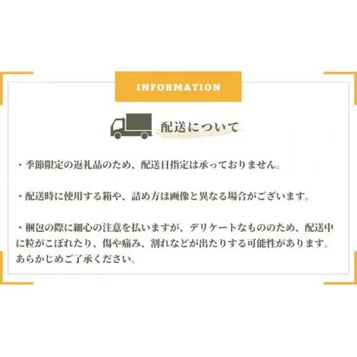 大原観光果樹園 ピオーネ2房とシャインマスカット2房（計4房） 約2kg 【先行予約 9月中旬から順次発送】