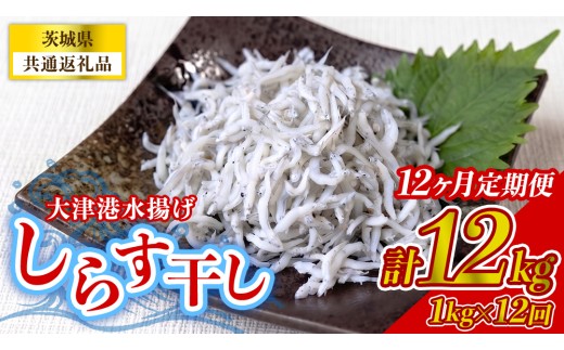 【12回定期便】大津港水揚げしらす干し 1kg(250g×2パック×2箱) (茨城県共通返礼品:北茨城市) 冷凍 小分け パック 少量 水揚げ ごはん ご飯 丼 海鮮 魚 名物 グルメ 茨城県 魚介類 ちりめん シラス しらす じゃこ サラダ ふるさと納税 人気 料理 [BC016]