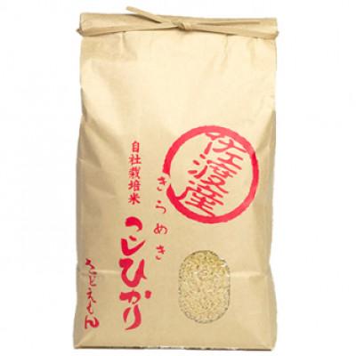 ふるさと納税 佐渡市 自社栽培米新潟県【佐渡産】こしひかり(玄米5kg) |  | 01
