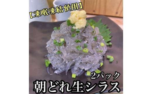 超鮮度！朝どれ 生しらす 小 2パック【凍眠凍結使用】【 惣菜 お刺身 生食 日本酒 焼酎 お取り寄せ 希少部位 御中元 お中元 お歳暮 父の日 母の日 贈り物 】【家庭用 自宅用 贈答品 贈答用 ギフト 神奈川県 小田原市 】 142069_DQ003