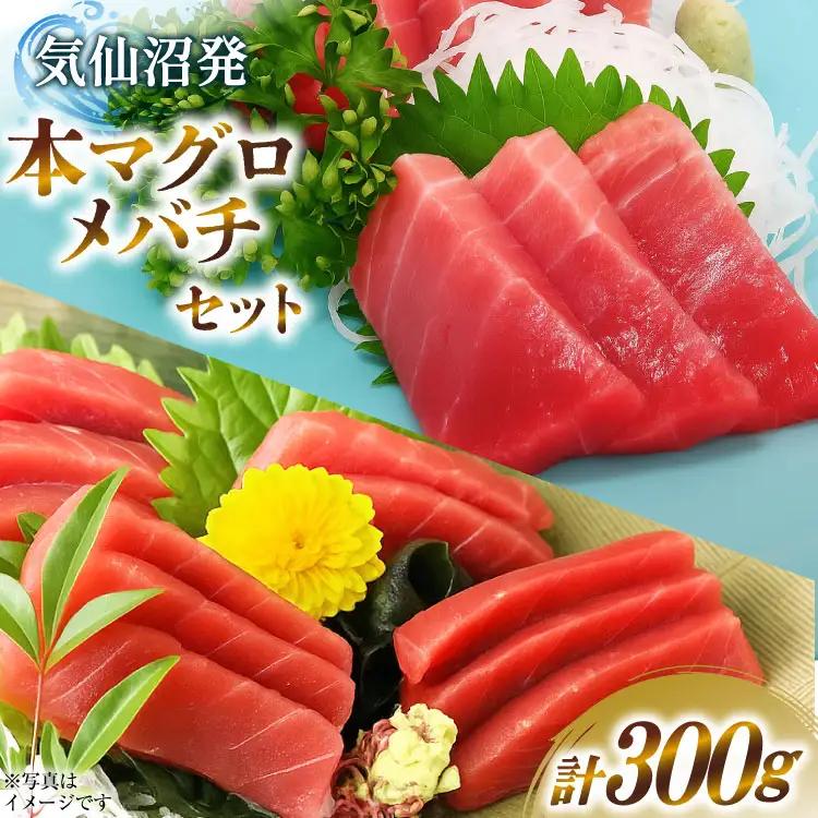 本マグロ・メバチセット 