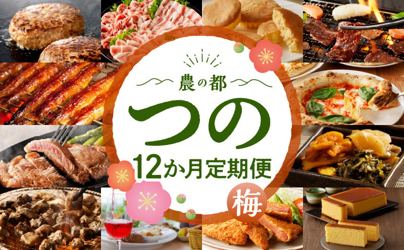 
            ≪12か月お楽しみ定期便≫都農町定期便(梅) 肉 加工品 デザート 国産_T999-008
          