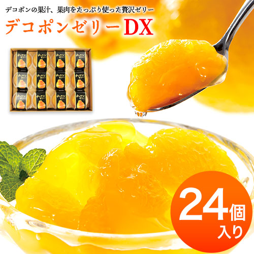 デコポンゼリーDX 24個入《60日以内に出荷予定(土日祝除く)》熊本県 葦北郡 津奈木町 あしきた農業協同組合 JAあしきた 柑橘 デコポン フルーツ 果物 ゼリー ギフト 包装 送料無料