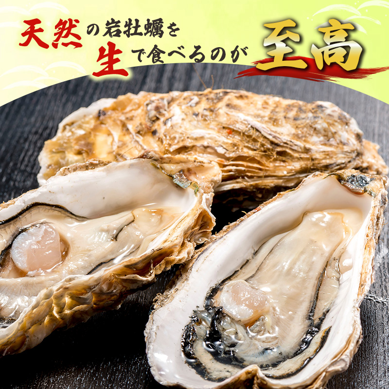 【 先行予約 7月上旬～下旬発送予定】象潟産 天然岩牡蠣 10～12個 ナイフ付【 牡蠣 夏牡蠣 かき 象潟 生食可 魚介類 海鮮 海産物 海の幸 】 佐藤鮮魚店
