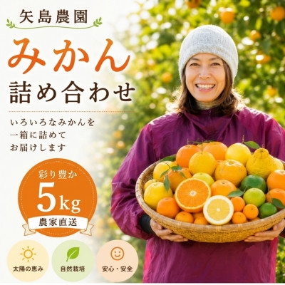 
                  みかん色々♪季節の柑橘詰合せ5kgいろんな種類が一箱に詰まった楽しいみかんBox＜先行受付＞【1531518】
                