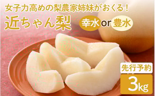 【先行予約】女子力高めの梨農家姉妹がおくる！ 近ちゃん梨 3kg（3L～5L） 6～8玉入り (幸水梨or豊水梨) 【2026年8月中旬～9月下旬発送予定】【梨 なし フルーツ 甘い みずみずしい 果実 果物 新鮮 旬の果物】 [A-6318]