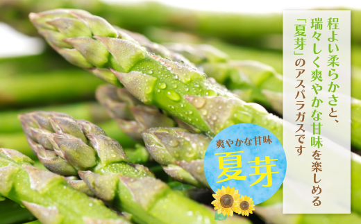 【訳あり】清流・自然栽培 アスパラガス(夏芽) 1kg