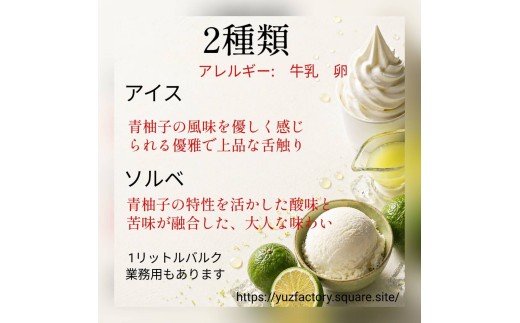 青い柚子 グリーンユズアイスとグリーンユズソルベ  6個セット　