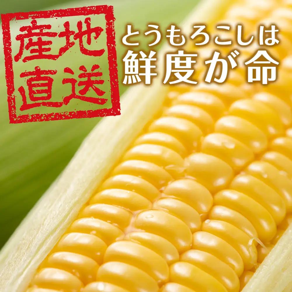 【先行予約】北海道 千歳産 とうもろこし 1本430ｇ以上 10本 恵味シリーズの中からおまかせで1種類  ＜ふぁーむあんざわ＞