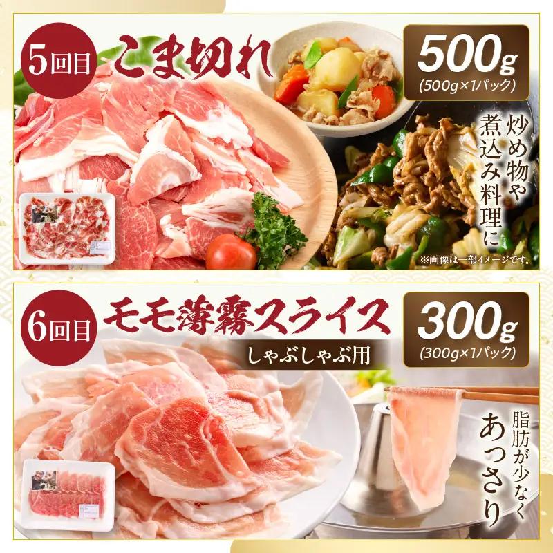 【全6回】《放牧和豚》シンプル定期便 豚 豚肉 ロース スライス しゃぶしゃぶ バラ 肩ロース ロース 焼き肉 焼肉 ミンチ ひき肉 挽き肉 挽肉 こま切れ 豚コマ 真空パック 薄霧