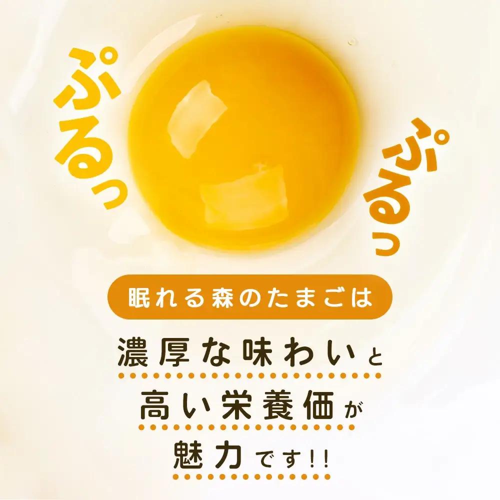 【2か月連続お届け】眠れる森のたまご 朝採れ卵40個　たまご タマゴ 卵 鶏卵 濃厚 こだわり 新鮮 定期便　【04301-0797】