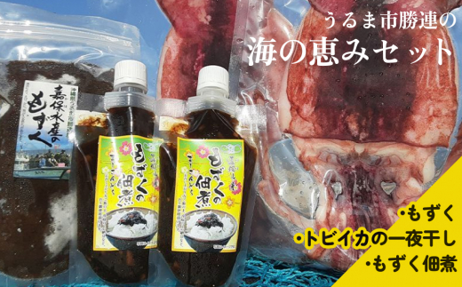 【嘉保水産】うるま市勝連の海の恵みセット【もずく・トビイカの一夜干し・もずく佃煮】
