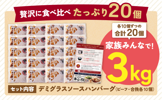 【7営業日以内発送】【累計460万個突破！】どっちの ハンバーグ !?デミグラスソース150g×20個セット（ビーフ・合挽 各10個） ハンバーグ 牛肉 豚肉 洋食 ハンバーグ はんばーぐ 大容量 冷