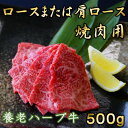 【ふるさと納税】養老ハーブ牛　ロースまたは肩ロース　焼肉用　500g【配送不可地域：離島】【1273633】