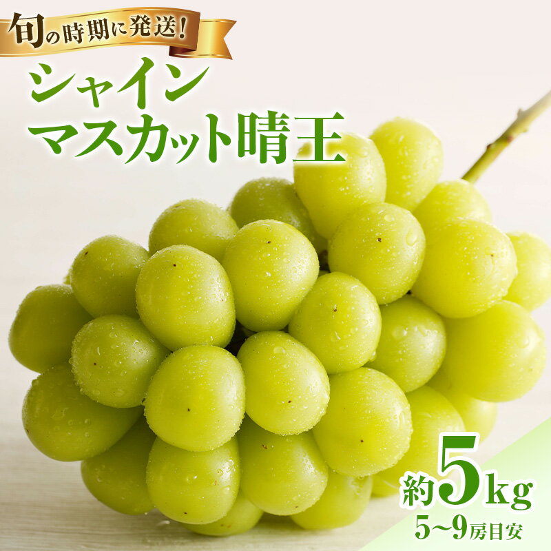 【ふるさと納税】【2026年先行受付】 シャインマスカット 晴王 秀品 大房 約5kg(5〜9房) 岡山県産 岡山県産 ぶどう 葡萄 ブドウ ギフト 御礼 プレゼント 御礼 御祝 御供 果物 くだもの フルーツ　お届け：2026年8月中旬〜2026年11月