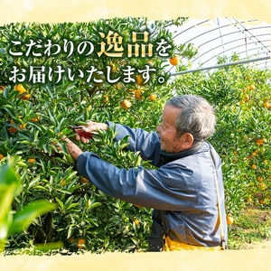 ＼数量・期間限定／【訳あり】池之上果樹園の”旬の”不知火 10kg（L・2Lサイズ混同）10kg箱バラ詰め満杯！秀品 産直 農家直送 濃厚 デコポン と 同品種 フルーツ 柑橘 みかん 【A-1794
