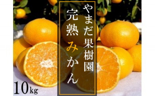 N179x1 やまだ果樹園の完熟みかん　１０kg　みかん ミカン 蜜柑 たらみかん 太良みかん 温州みかん 紅みかん 完熟みかん 甘熟 柑橘 国産 佐賀県産 太良町 こだわり 有機栽培 産地直送 贈答品 詰め合わせ 極甘 【2026年11月上旬-2027年1月上旬発送予定】