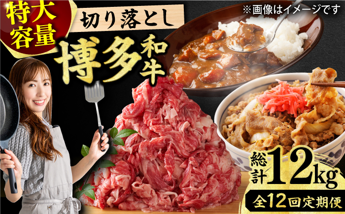 
【12回定期便】【たっぷり満腹】博多和牛 切り落とし 1000g（500g×2P） 肉 にく ニク お肉 牛肉 博多和牛 黒毛和牛 赤身 薄切り 切り落とし 肩 バラ 国産 カレー 牛丼 肉じゃが 福岡 化粧箱入り 冷凍 1kg 広川町/株式会社MEAT PLUS [AFBO080]
