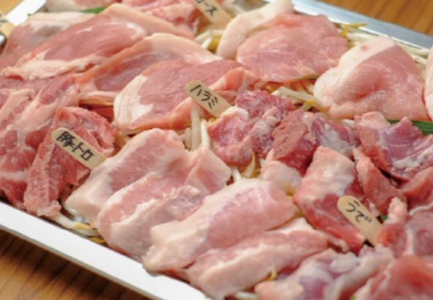 高知県大月町産 力豚 特選精肉セット　8種×100g