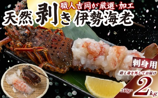 
                  でっかい天然伊勢海老  刺身用 540g~2kg以上 冷凍 
                