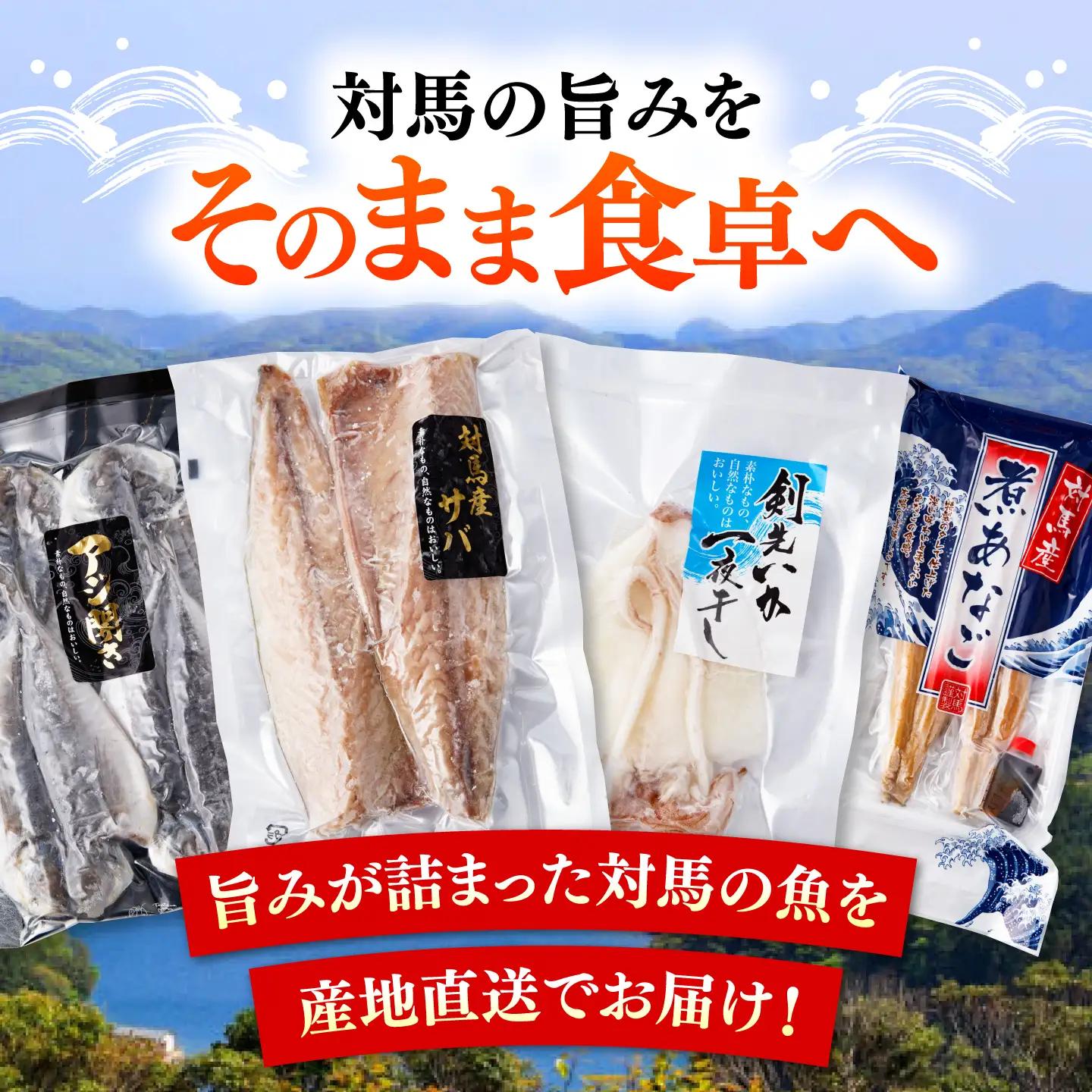 【全6回定期便】対馬 海の幸 干物 セット [WAC028]冷凍 魚 イカ 鯵 アジ 剣先いか さば 穴子