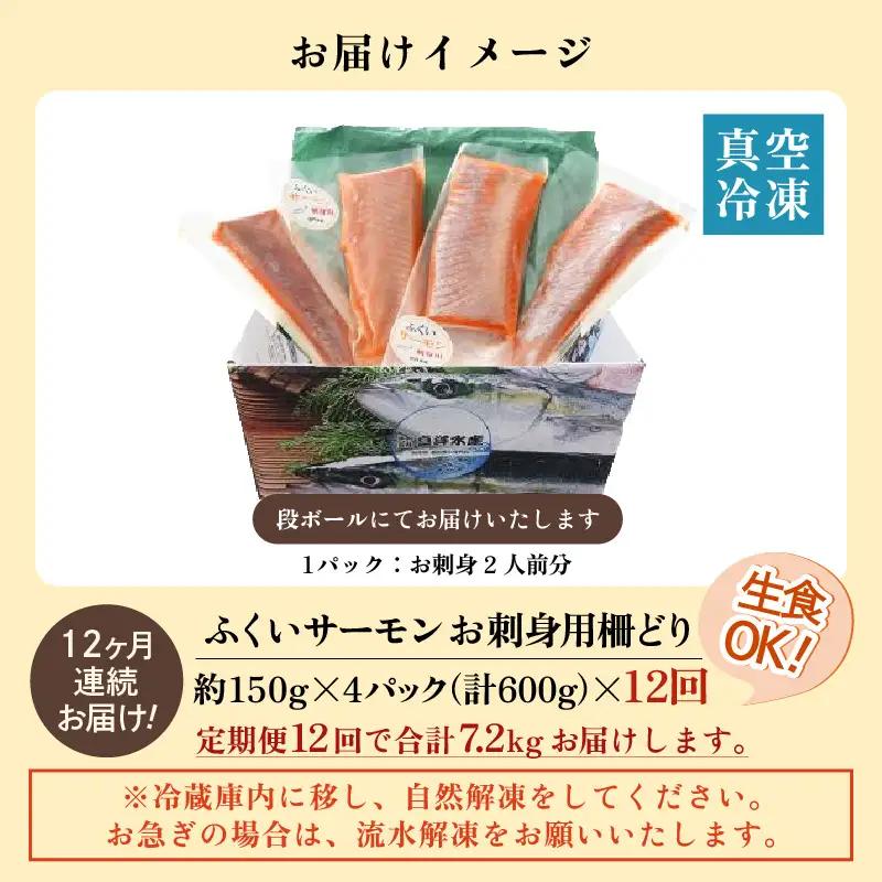 《定期便12回》ふくいサーモン 柵どり 150g×4パック 計600g ＜度抜群！＞ ／サーモン 鮭 [aw002-o001]