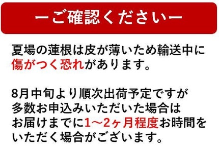 【訳あり】鳴門市大津町産 蓮根（不揃い） 2kg 【数量限定】 レンコン 訳あり 野菜 レンコン 蓮根 シャキシャキ レンコン 野菜 天ぷら きんぴら レンコン 蓮根 野菜 レンコン 煮物 蓮根 レン