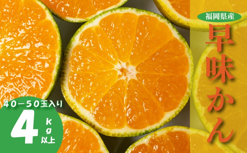 
                   【2026年9月下旬-10月下旬発送予定】福岡県産 早味かん M・Sサイズ 約4kg以上(40玉-50玉入り) みかん 蜜柑 早味かん 小粒 果物 スイーツ 数量 期間限定 ふるさと納税みかん 甘い 人気 フルーツ ふるさと納税早味かん ランキング福岡 九州 福岡県 川崎町 数量限定 期間限定
                