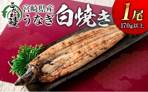 
            「こだま鰻」宮崎県産 うなぎ白焼き（1尾）170g以上 国産 真空パック【B660】
          