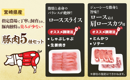宮崎県産 豚肉 5種 セット (合計3kg) 国産 食品 豚バラ 切り落とし ロース スライス ミンチ 焼肉 BBQ しゃぶしゃぶ 生姜焼き とんかつ ソテー 豚丼 ハンバーグ 個包装 小分け おすす