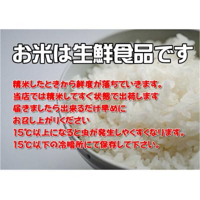 ふるさと納税 釜石市 【令和7年産】岩手県産ひとめぼれ3kg |  | 01