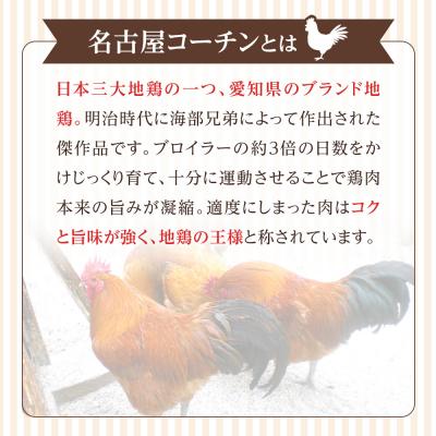ふるさと納税 名古屋市 【はなぶさ精肉店】犬用ささみ ジャーキー 手作り セット |  | 03