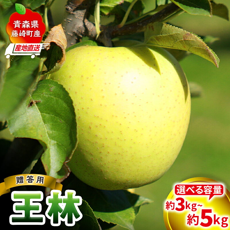 【ふるさと納税】＜産地直送＞ 王林 贈答用 特選クラス 約3kg (7〜10個) or 約5kg (12～20個) 選べる容量 【前田農園】黄色いりんご 青りんご リンゴ アップル 芳醇な香り 果物 くだもの フルーツ ふじ発祥の地 暮らしの林檎園 La Pomme Farm 青森県 藤崎町 F41-0076var