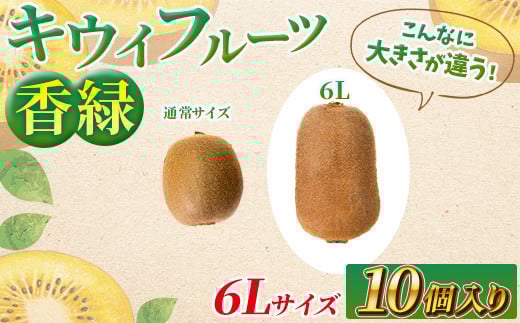 
            希少キウイフルーツ 「香緑」。6Lサイズ10個入り 糖度16度。甘くておいしい＜出荷時期：2025年12月15日出荷開始～2026年1月15日出荷終了＞【キウイ　フルーツ 神奈川県 南足柄市 】
          