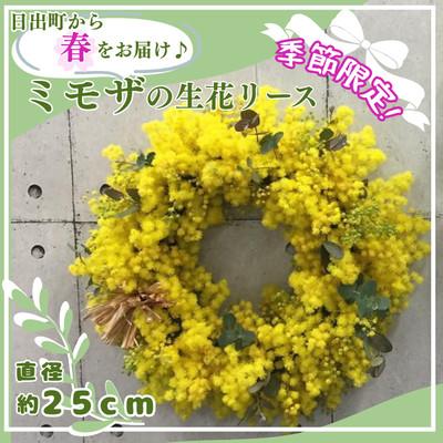 ふるさと納税 日出町 【2027年3月より順次発送予定】日出町から春をお届け♪ふわふわのミモザをたっぷり使ったリース