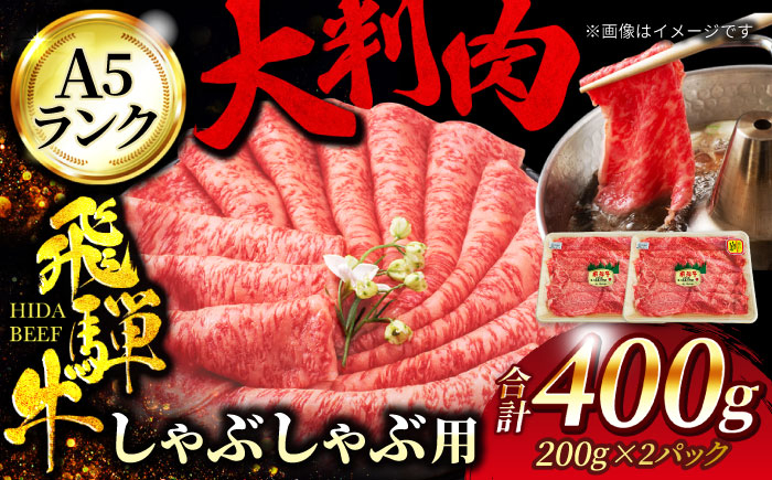 
A5ランク 飛騨牛 しゃぶしゃぶ用 400g（200g×2）【有限会社マルゴー】牛肉 和牛 国産 [MBE065]
