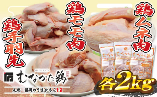 
宗像産ブランド鶏【むなかた鶏】食べ比べセット（モモ肉、ムネ肉、手羽先各2kg）（平飼い）【JAほたるの里】_HA1424
