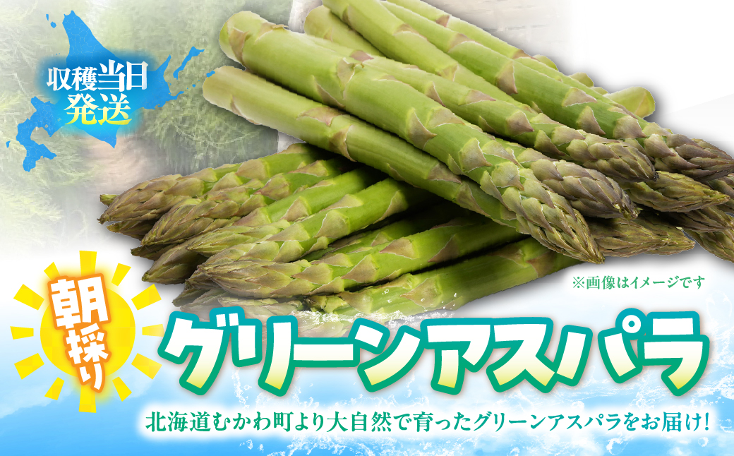 夏アスパラ2Lサイズ 約900g（150g×6袋） MKWM004