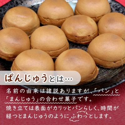 ふるさと納税 根羽村 もちもち美味しい!ぱんじゅうセット つぶあん&りんごカスタード味 10個入り |  | 01