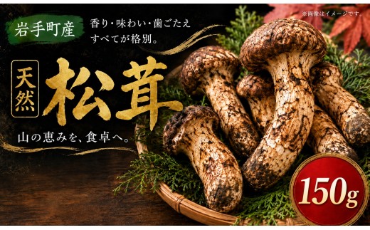 松茸 国産松茸 150g 天然松茸 国産天然松茸 岩手県産松茸 岩手町産松茸 まつたけ マツタケ 天然まつたけ 国産まつたけ 「先行予約」 国産 天然 きのこ 秋の味覚 旬 山の幸 2026年発送 松茸ご飯 松茸ごはん まつたけご飯 焼き松茸 土瓶蒸し お吸い物 茶碗蒸し 天ぷら 炊き込みご飯 産地直送 新鮮 冷蔵 冷蔵配送 ギフト 贈り物 贈答 天然物 キノコ 産直 岩手 希少 芳醇な香り 食感