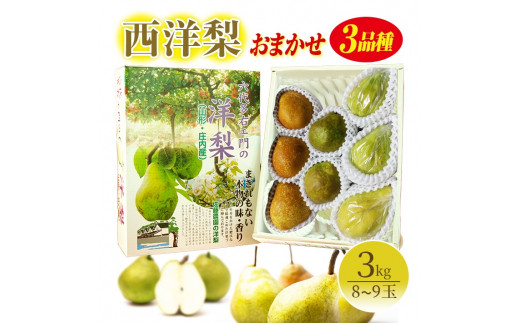 西洋梨 おまかせ3品種 約3kg 8～9玉 12月上旬～12月中旬頃お届け フルーツ くだもの デザート スイーツ 果物 贈答品 化粧箱入 詰め合わせ セット 佐藤農園 山形 酒田 六代多右エ門 SA2720