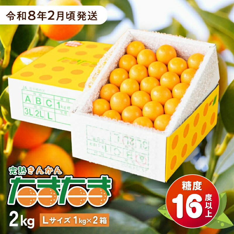 【ふるさと納税】【期間限定】完熟きんかん たまたま 2kg 果物 フルーツ デザート スイーツ きんかん きんかんたまたま 完熟 宮崎県産 国産 宮崎産 贈答 贈り物 ギフト プレゼント ブランド 柑橘 柑橘系 柑橘類 おやつ グルメ お取り寄せ 宮崎県 高千穂町 送料無料