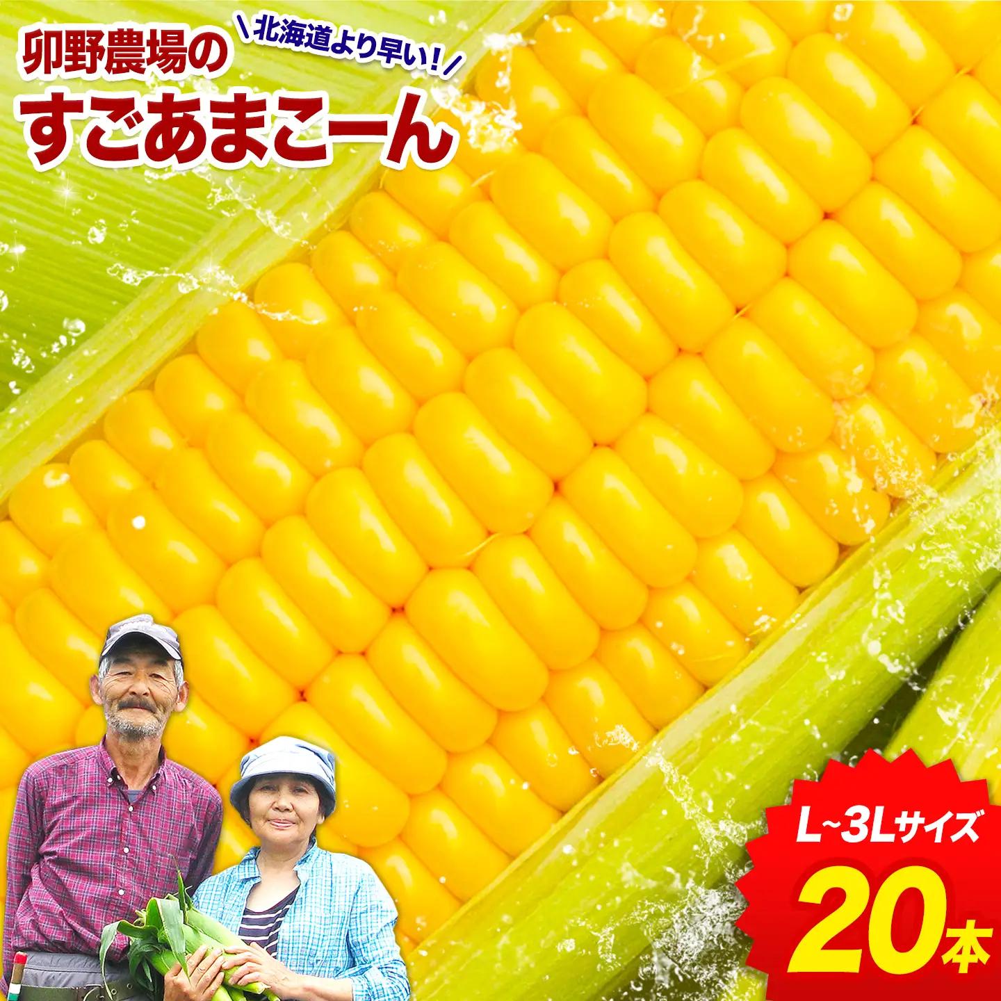 【ふるなびWEEK対象】とうもろこし 20本【着日指定不可】