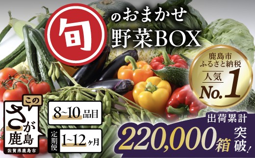 
                  定期便 野菜 選べる 1回 〜 12回 野菜定期便 旬のおまかせ野菜BOX (8～10品目) | 定期便 野菜 定期便 12回 6回 3回 1回 野菜詰め合わせ 野菜セット 果物 旬 定番野菜 人気 ランキング 定期便 じゃがいも レンコン キャベツ 玉ねぎ きのこ アスパラガス やさい ヤサイ 九州 佐賀県 鹿島市 H-13
                
