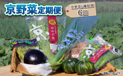 【 6回定期便 】 京野菜 野菜 6種 程度 定期便 6回 詰め合わせ 京都 野菜セット 季節 旬 栄養食 栄養野菜 九条ネギ 万願寺 賀茂なす 京都府産 数量限定 冷蔵 サラダ 健康 BBQ バーベキュー 健康食品 緑黄色野菜 美肌 美容 ふるさと納税 ギフト ギフト用 贈答 贈答用 贈答品 贈り物 お中元 お歳暮 サラダ 農家直送 産地直送 新鮮 人気 おすすめ リピーター